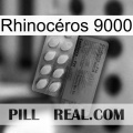 Rhinocéros 9000 35